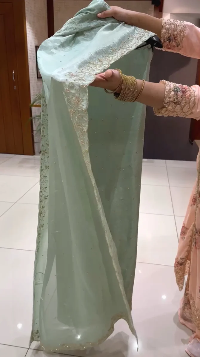Elegance Redefined: Tissue Silk Pista Colour Churidar Fabric