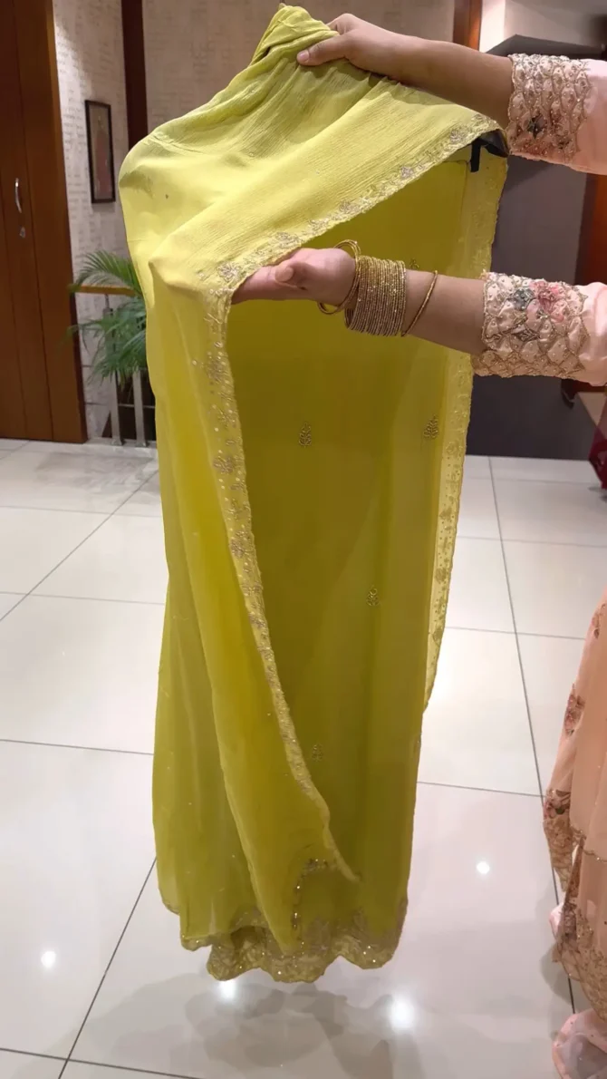 Lemon Green Organza Fabric Salwar Suit: Elegance Redefined