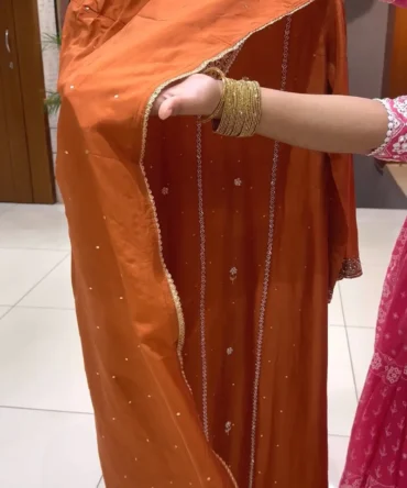 Stunning Orange Organza Party Wear Salwar Set
