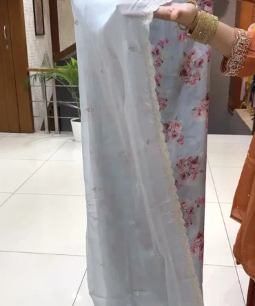 Elegant Organza Fabric Churidar Set in Soft Blue
